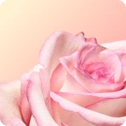 Flowery desktop menu