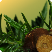 Herbal desktop menu