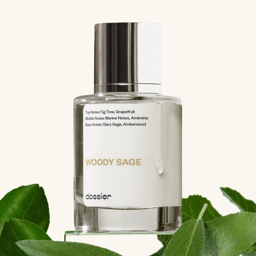 Picture of Woody Sage