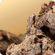 Earthy desktop menu